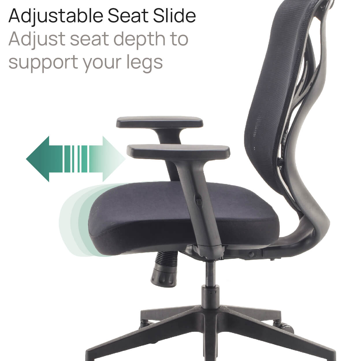 Product Highlights