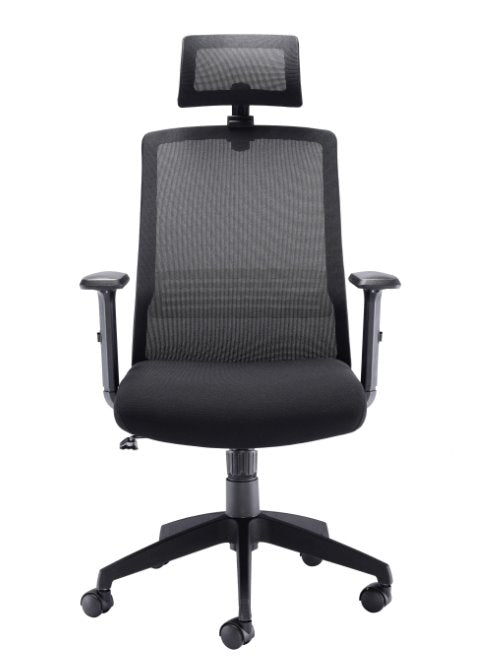 Denali High Back Mesh Office Chair Mesh Office Chairs TC Group 