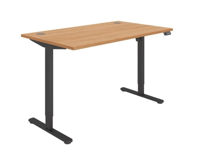 Workwise Sit Stand Desk