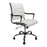 Carbis Desk Chair EXECUTIVE CHAIRS Nautilus Designs White 