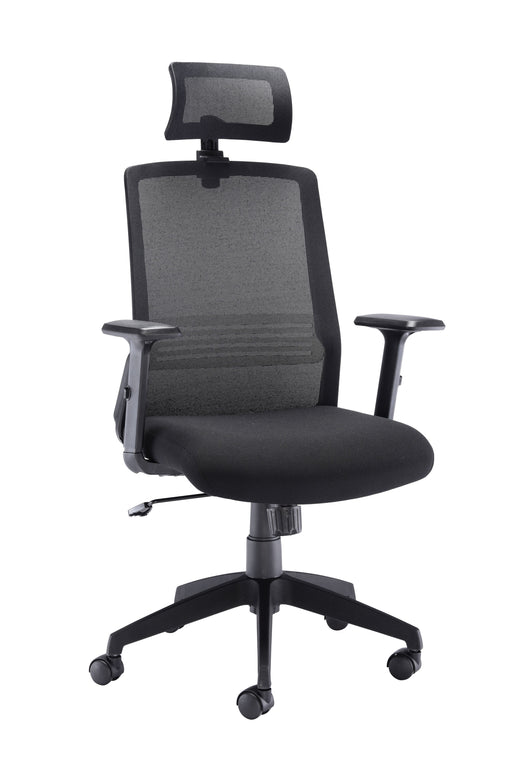 Denali High Back Mesh Office Chair Mesh Office Chairs TC Group Black 