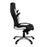 Friesian Executive Desk Chair EXECUTIVE CHAIRS Nautilus Designs 