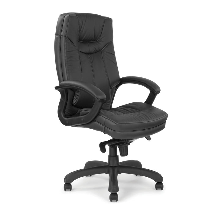 Hudson Executive Desk Chair EXECUTIVE CHAIRS Nautilus Designs Black 