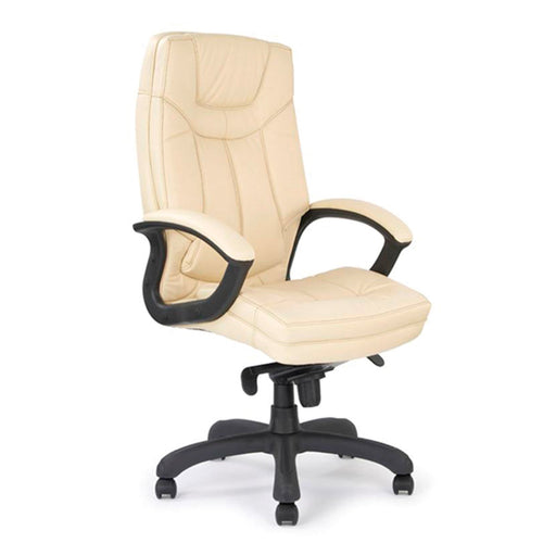 Hudson Executive Desk Chair EXECUTIVE CHAIRS Nautilus Designs Cream 