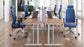 Impulse 1400mm Slimline Desk Cantilever Leg Desks Dynamic Office Solutions 
