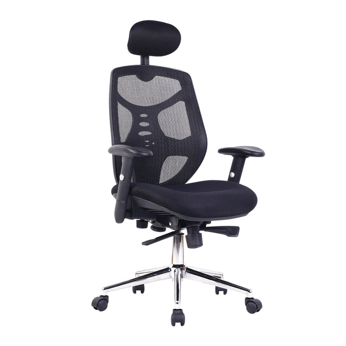 Polaris Ergonomic Mesh Chair MESH CHAIRS Nautilus Designs Black 