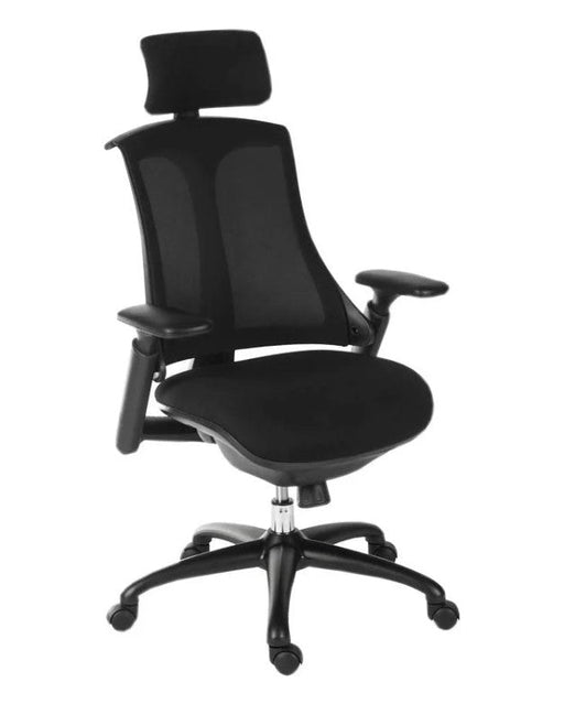 Rapport Executive Mesh Office Chair Mesh Office Chair, Office Chair Teknik Black 