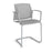 Santana cantilever chair with plastic seat and perforated back, fixed arms Seating Families Dams Grey Grey 