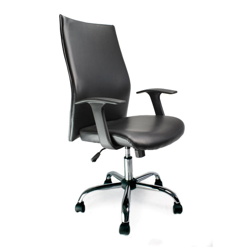 Tor Executive Desk Chair MESH CHAIRS Nautilus Designs 